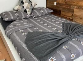 Studio Chalet with terrace & Matterhorn view，位于采尔马特的酒店