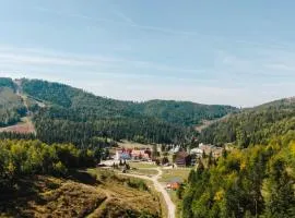 Hotel Iadolina
