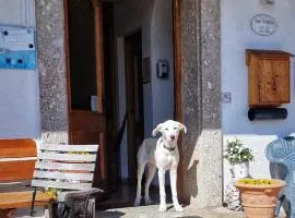玛丽亚旅馆