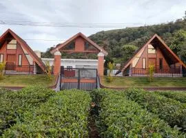 Vaango Cottages