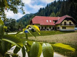 Farm Stay Loger，位于Ljubno的酒店
