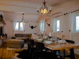Designer Country Apartment，位于博伦厄的滑雪度假村