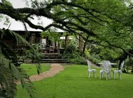 赖利岩石山顶山林小屋