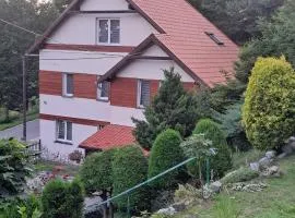 Noclegi Srebrna Góra