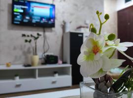 Apartman Tara 2，位于斯雷姆斯卡米特罗维察的酒店