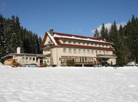 Hotel Galik，位于大卡尔洛维采的酒店