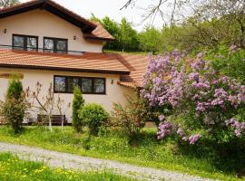 Pensiunea Ioana，位于Poeni的酒店