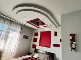 Modern apartment on Mechnikova street 18