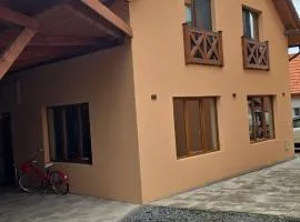 Pensiunea Deak Panzio