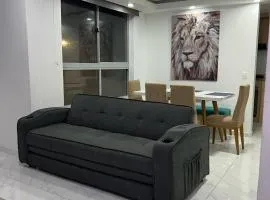 Apartamento completo cerca malecón del rio