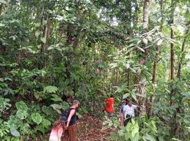 Ingaru lodge，位于Pano的Spa酒店