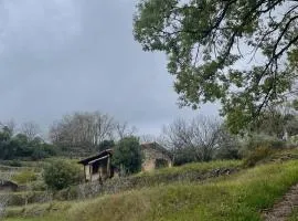 Vergel San Pedro