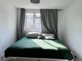 The best house
