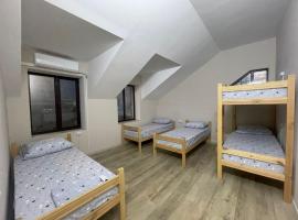 Hostel Vertum，位于基希讷乌的酒店