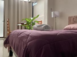 SP Rooms Centro Histórico 1 recámara matrimonial con baño privado，位于坎佩切的酒店