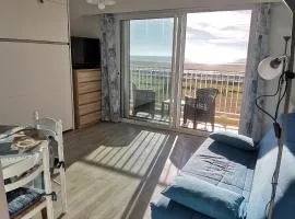 Studio avec vue sur la lagune, parking et animaux admis - FR-1-194-293