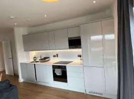 Two-Bedroom Apartment with City View