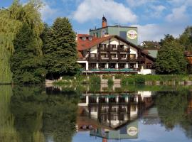 Brauereigasthof Jacob Bodenwöhr，位于Bodenwöhr的酒店