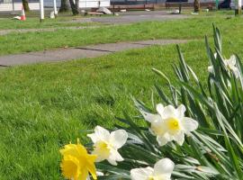 萝梦湖森林假日公园酒店，位于巴洛赫的酒店