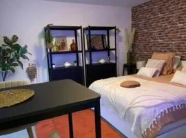 Studio douillet Tout Confort 3 - Wifi - Parking Gratuit