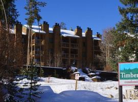 Timber Run，位于冬季公园的酒店