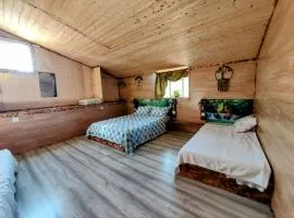 Família 12-Casa Amazonia PT