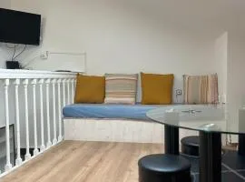 Studio Strasbourg centre