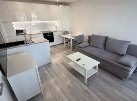 Modern apartment near City Center with easy transport access