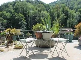 Studio avec terrasse aménagée et vue rivière - Livradois-Forez