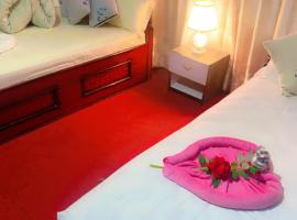 Prince Hotel and Lodge，位于Suryodaya的酒店