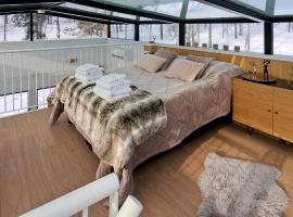 Levi Sky Igloo with private sauna and hot tub，位于列维的酒店