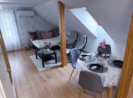 Rapla City Center Apartment，位于拉普拉的带停车场的酒店