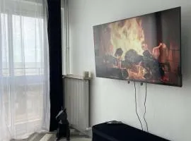 La Suite Féline - vu mer exceptionnelle !