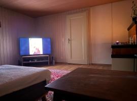 International Family Guesthouse，位于Schüpfheim的酒店