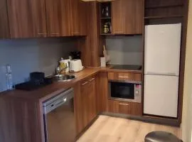 Appartement 2 pièces à 50m des pistes d'Isola 2000 - FR-1-292-227