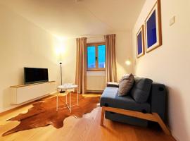 Charmantes Apartment - für 2-4 Personen - modern, ruhig, Parkplatz，位于帕绍的酒店