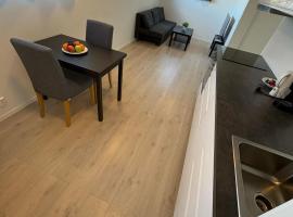 Temis apartment, private new 1 bed room and 1 living room with sofa bed and lagre kitchen, share with nobody，位于奥斯陆的低价酒店