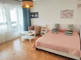 T1 bel appartement proche de Genève