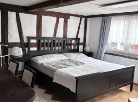 Im Herzen von Rebstein，位于Rebstein的酒店