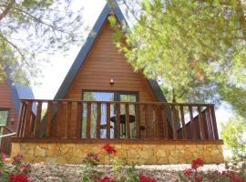 Courela do Moinho，位于Ciborro的带泳池的酒店