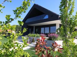 Smart & Wellness Villa，位于普图伊的酒店
