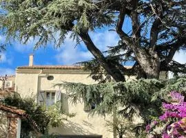 La Bastide du Cèdre - 20 minutes from Collioure