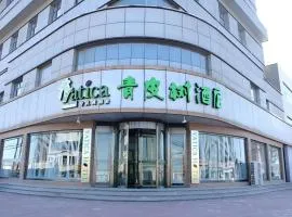 Vatica Tianjin Jinghai Bus Station Home World Plaza Hotel