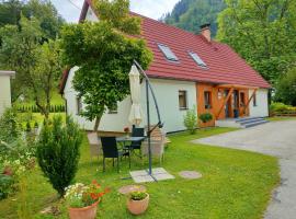 Apartmaji pri Dravi，位于Podvelka的滑雪度假村