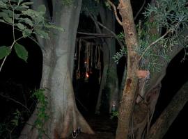 Klein Eden Forest，位于勒斯滕堡的酒店