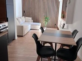 Cozy 2-bedroom village house