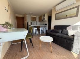 Departamento Chillan c&eacute;ntrico，位于奇廉的低价酒店