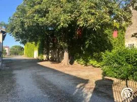 Au centre du village