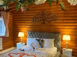 Kaoglen-Blossom-Hot tub-Cairngorms-Pet Friendly