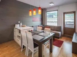 Ylläs Nature Chalet 6206 - 2 hissilippua sisältyy hintaan talvikaudella